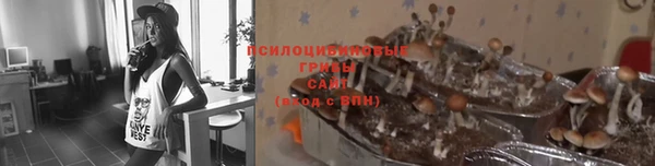 тгк Армянск
