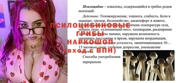 эйфоретик Арсеньев