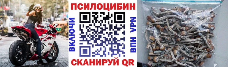 Галлюциногенные грибы Psilocybine cubensis  KRAKEN сайт  Свирск 